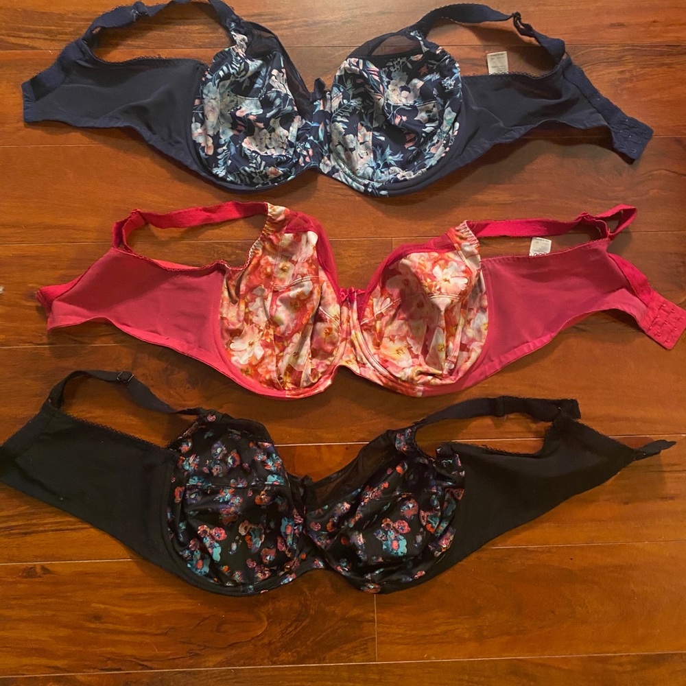 Goddess 40H bra bundle!!